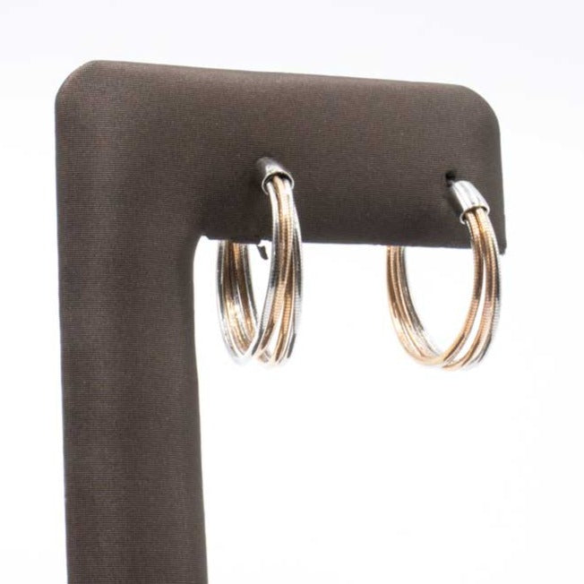 2 Tone Earrings WDNAO 221