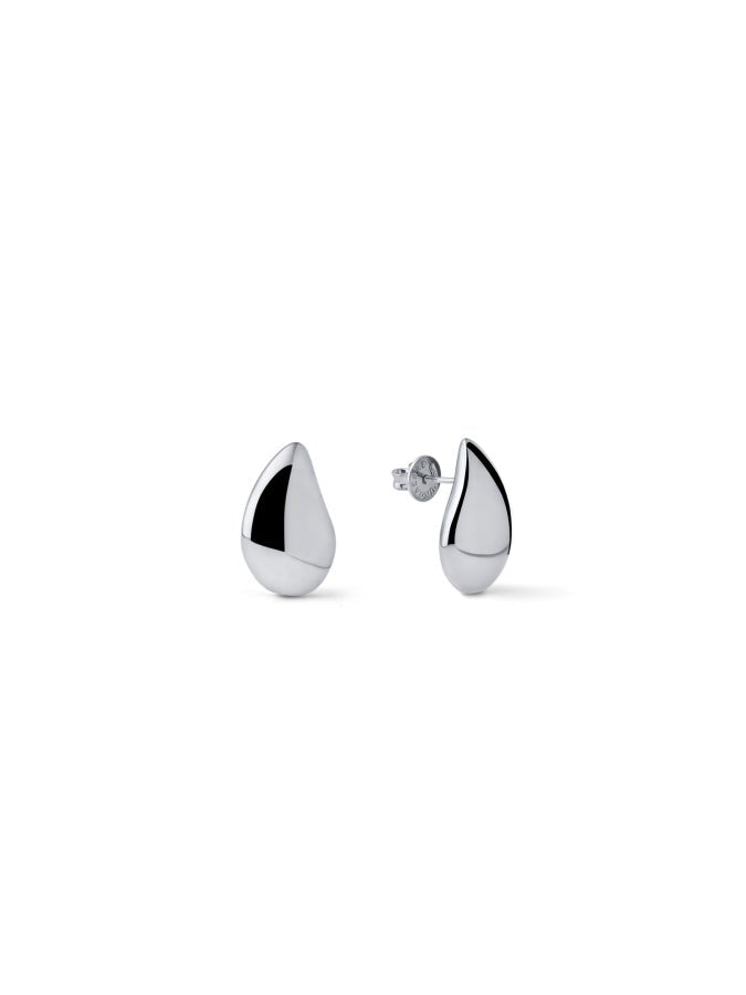 Boule silver earrings 571555